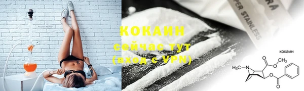 дживик Абаза