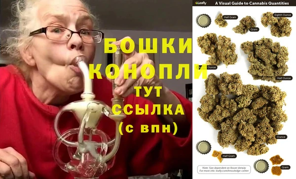 дживик Абаза