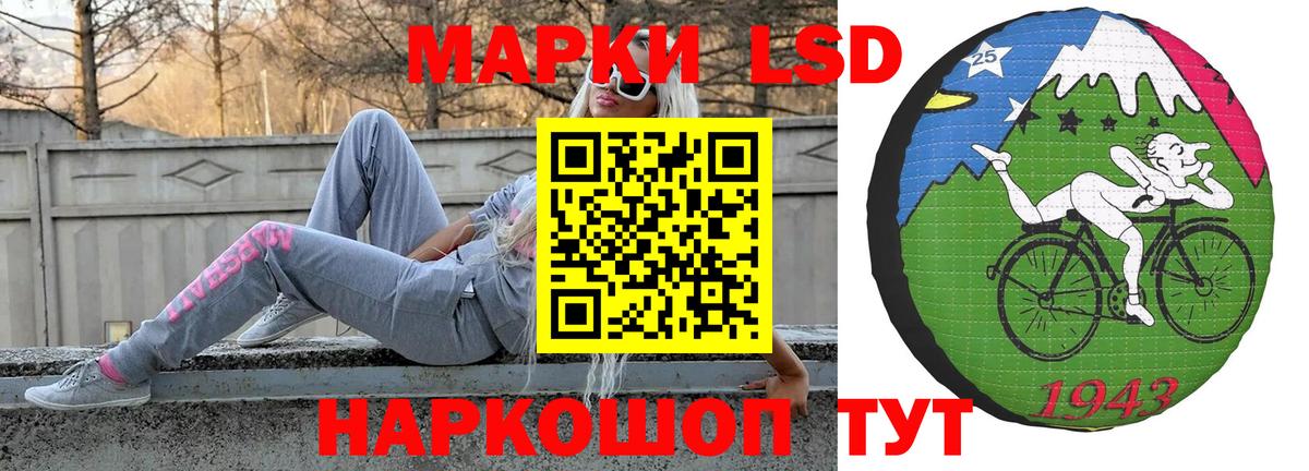 Галлюциногенные грибы Новокубанск