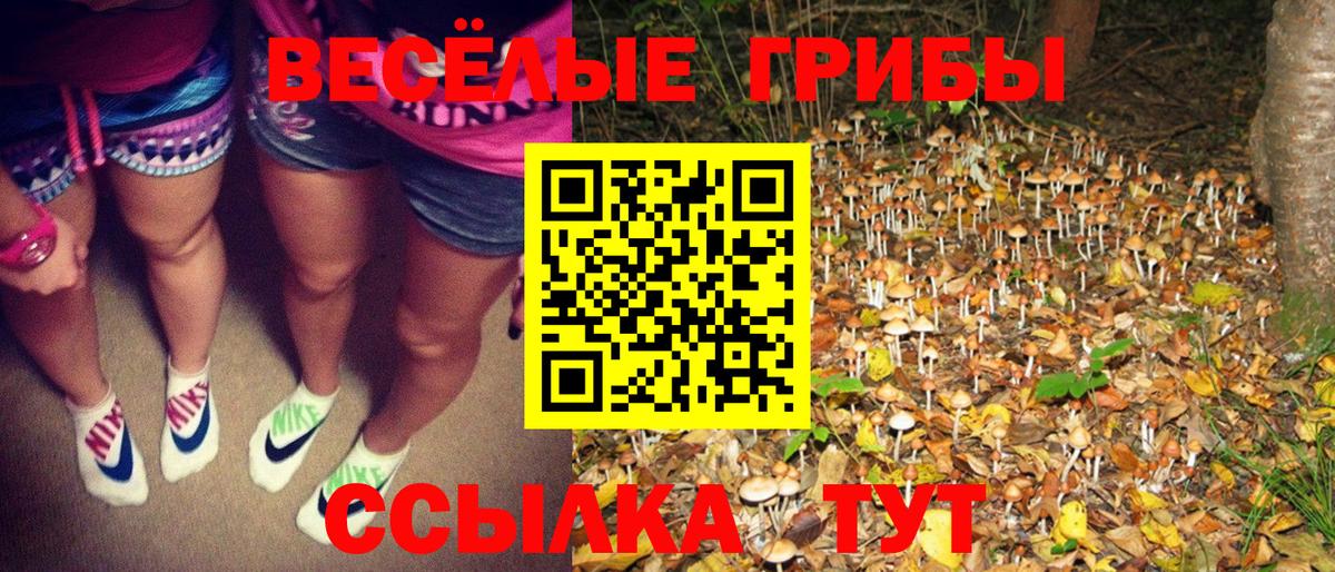 A-PVP СК кристаллы  Гашиш  Экстази  Вход с VPN  MDMA  Новокубанск  Меф кристаллы  Бошки Шишки  COCAIN 