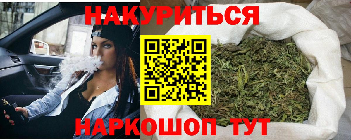 Каннабис индика Новокубанск
